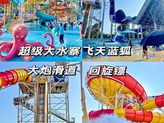 -秦皇岛乐岛海洋王国