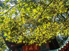 -岳麓山风景名胜区