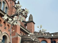 -上海佘山国家森林公园西佘山园