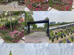 -春花秋色城市公园