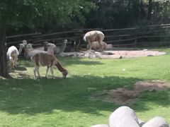 -泉州海丝野生动物世界