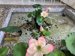 -ins森林童话餐厅coffee&bistro