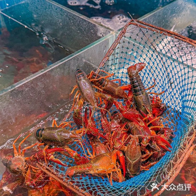 相城陆慕还有这种好地方⁉️