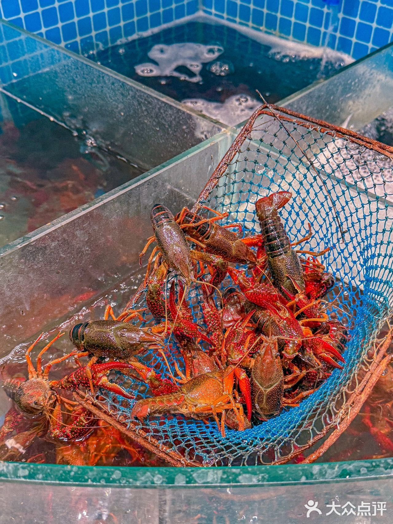 相城陆慕还有这种好地方⁉️