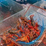 相城陆慕还有这种好地方⁉️