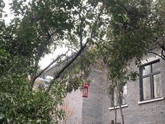 -Le Siècle.百年西餐厅(颐和公馆店)