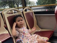 -BUS TOUR观光巴士