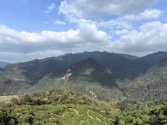 -广州市石门国家森林公园
