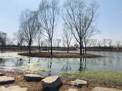 -大兴滨河森林公园