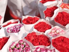 -循礼门鲜花花市(武汉循礼门店)