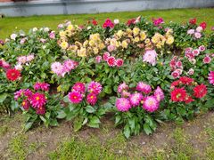 -辽宁大学(崇山校区)