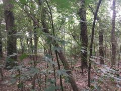 -紫金山索道-售票处
