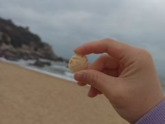 -湄洲岛
