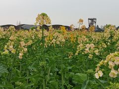 -中国天府农业博览园