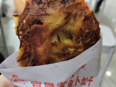 -半月镰胡姐脆皮萝卜饺子