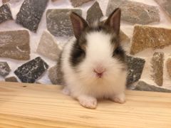 -龙猫仔乐园(惠福东路店)