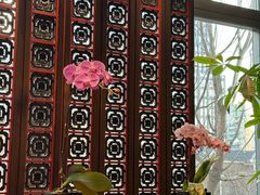 -北京四季酒店·采逸轩