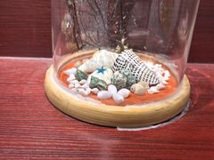 -青岛贝壳博物馆