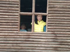 -上海都市菜园