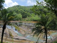 -广州白江湖森林公园