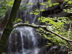 藏龙百瀑-藏龙百瀑风景区