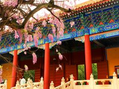 -北京国子监胡同