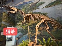 -自贡恐龙博物馆