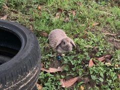 -美家乐农庄·露营·团建(大治路店)