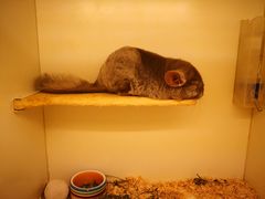 -龙猫仔乐园(惠福东路店)