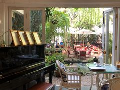 -Fern Forest Cafe