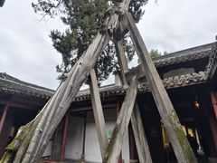 -太平天国侍王府