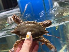 -四海蒸鲜蒸汽海鲜自助(北戴河店)