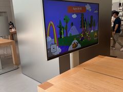 -Apple零售店(华贸购物中心店)