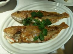 香煎红杉鱼-百味馆·粤菜·湛江菜(后海花园店)