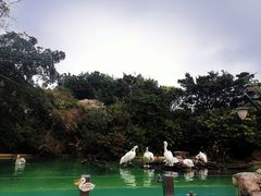 -珠海长隆海洋王国