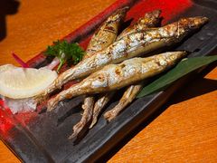 -鸟屯(三里屯店)