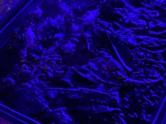 -琶醍壹号•潮菜江景餐吧