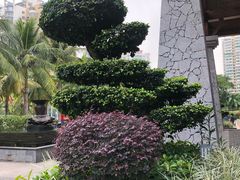 -海南大院(海甸岛店)