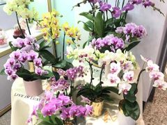 -EPOQUE·一刻花店(兴业太古汇店)