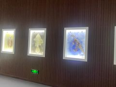 -贝壳王国博物馆