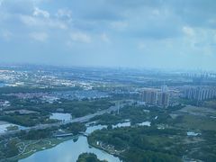 -嘉定凯悦·咖啡厅