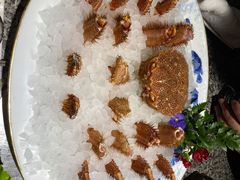 红毛蟹-辉哥火锅(虹桥路店)