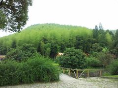 android_upload_pic-山沟沟景区