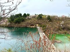 -四明山国家森林公园