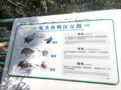 -广东惠东海龟国家级自然保护区