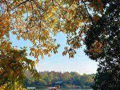 -上海共青森林公园