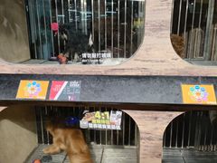 -宠物世家(仲盛世界商城店)