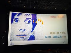 -百美汇影城(LUXE嘉里中心店)