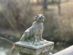 -顾村公园