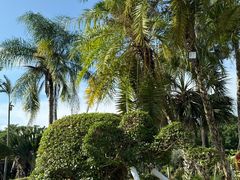 -东南花都花博园